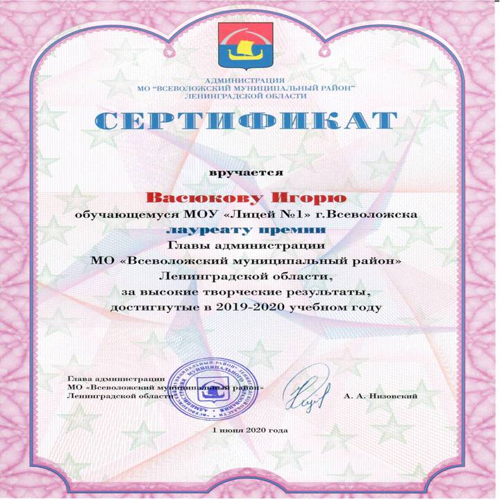 Сертификат Васюков Игорь